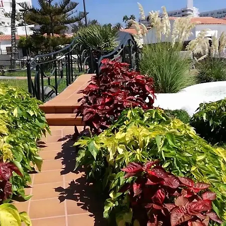 Fantastico Santa Clara * San Bartolomé