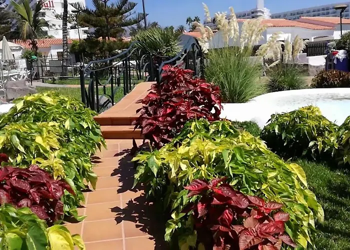 Fantastico Santa Clara * San Bartolomé